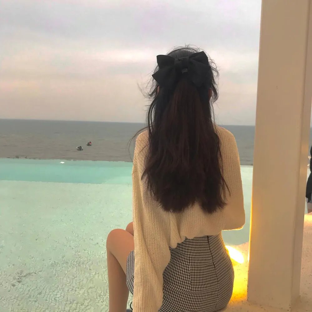 白鹭