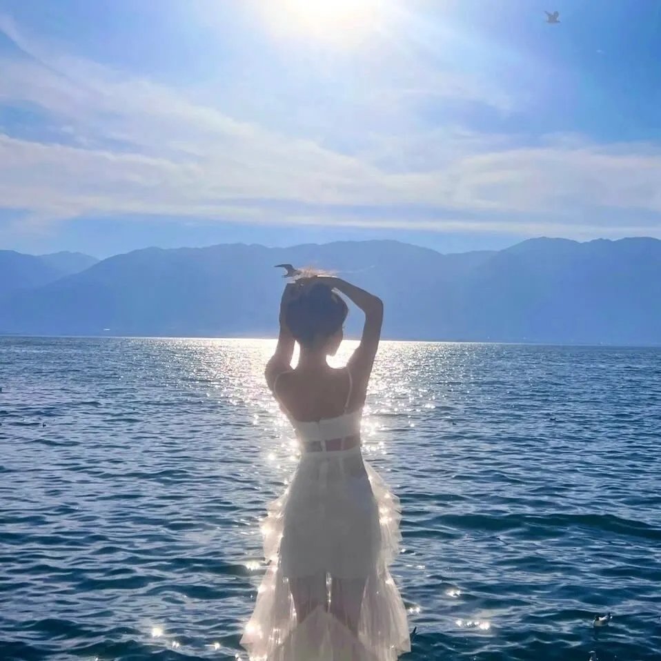 飞月情海